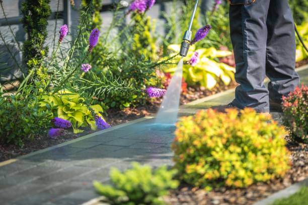 Best Spring Cleaning  in Williamston, MI