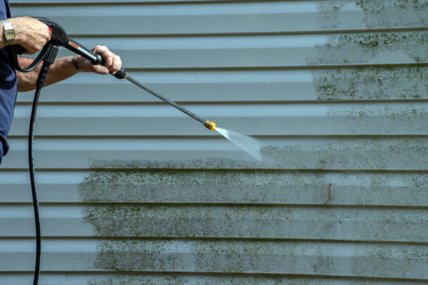 Best Gutter Cleaning  in Williamston, MI